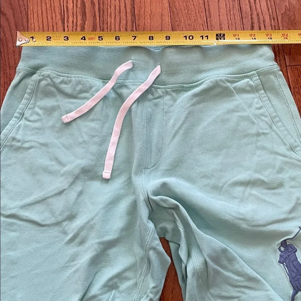 Polo Ralph Lauren Big Pony Mint Green Sz Small